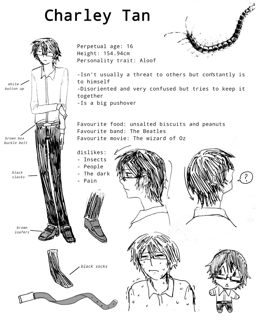 Image 31